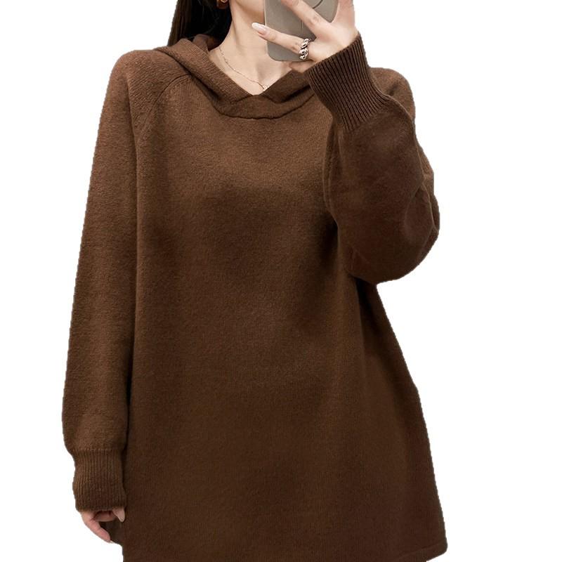 Korean Style Women's Hooded Knit Sweater: Autumn/Winter Loose Pullover with Long Sleeves