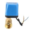 Electric Ball Valve 2‑Way 3‑Wire 2‑Control IP54 Protection Synchronous Motor Blue AC220V
