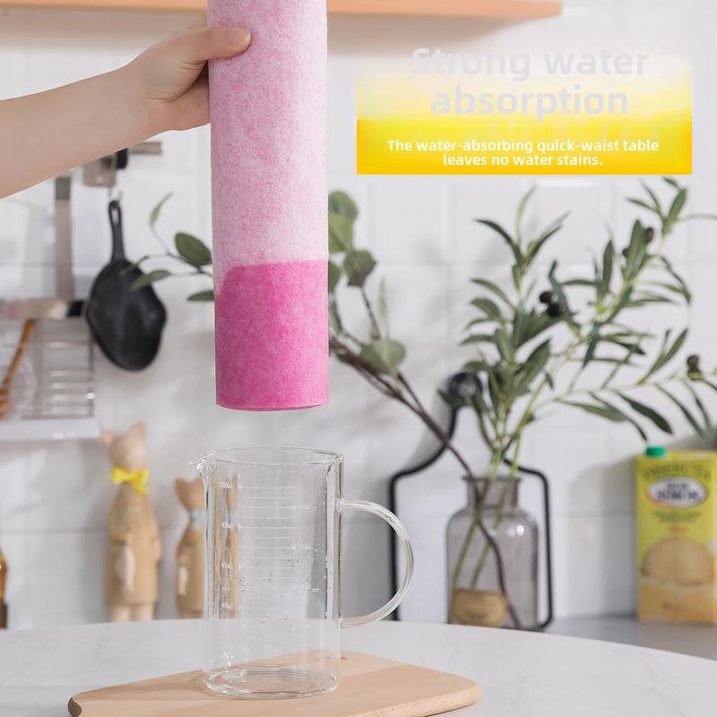  Coconut Shell Rag for Kitchen Cleaning, Oil-removing and Absorbent