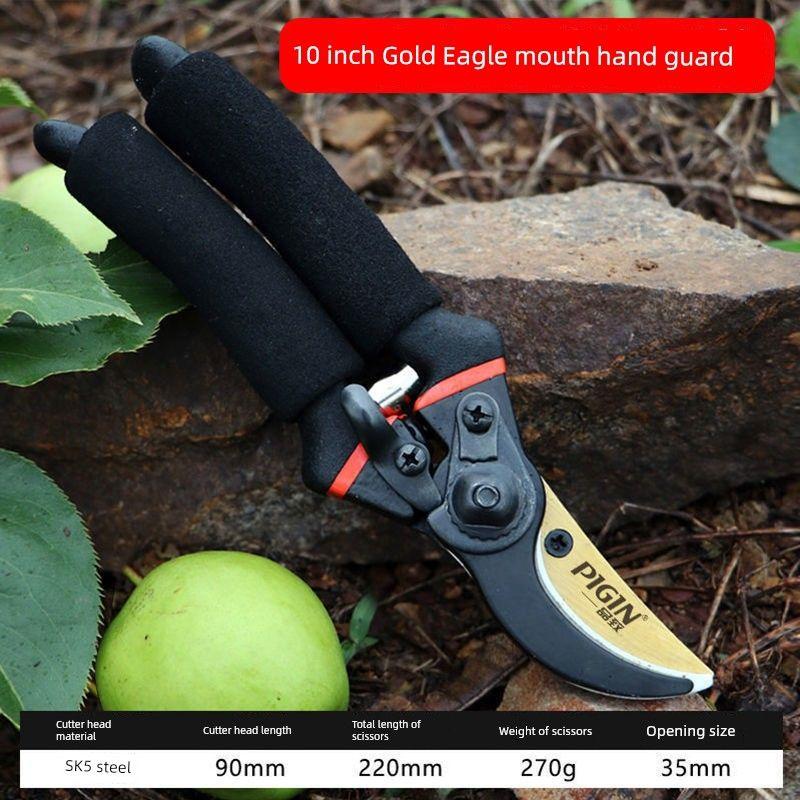

Special Scissors Scissors for Cutting Branches For Home Branches Pruning Fruit Trees Pet Scissors Pruning Shear Floral Garden Scissors Tools Scissors Golden Dragon Fish