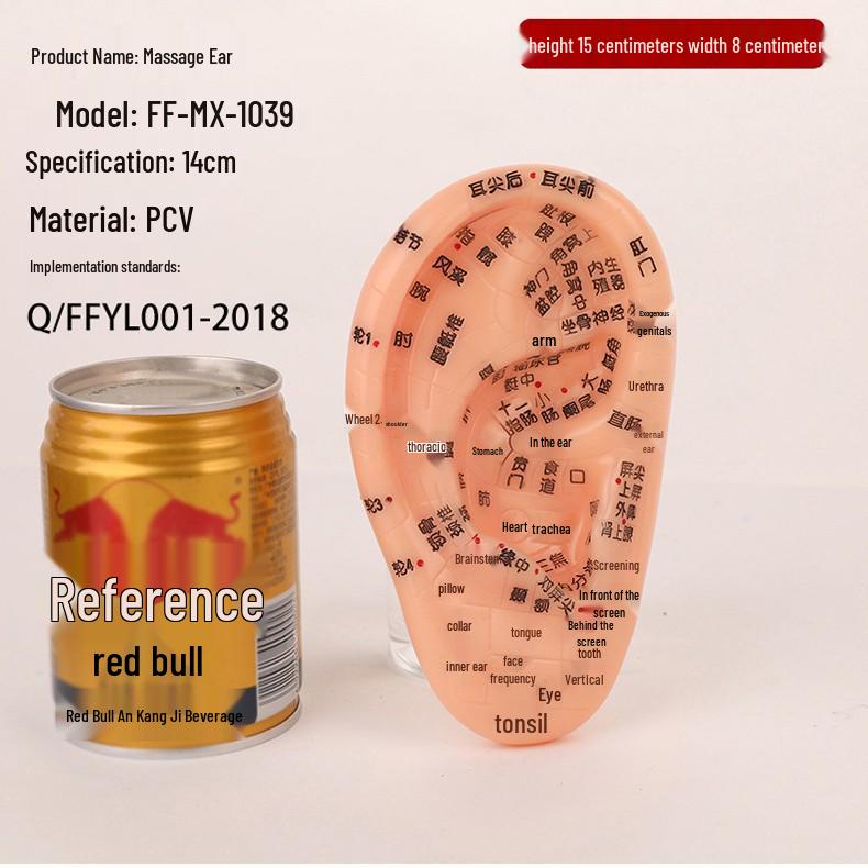 18cm Ear Mold with 15cm Reflexology Hand Model: Multi-Acupoint Reference for Ear Acupressure