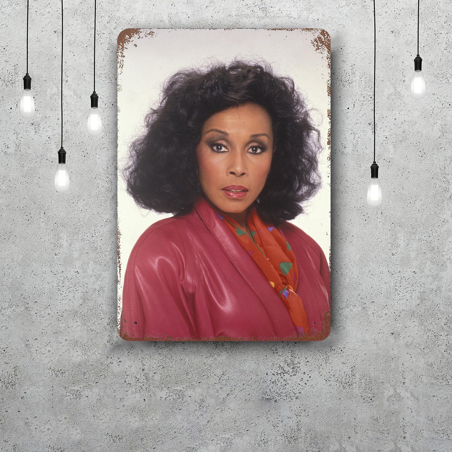 

diahann carroll Decor Vintage Metal Signs Tin Signs Captain Poster Decor for Bar Pub Club Man Cave Wall Decoration 20x30cm（7.8x11.8inch）