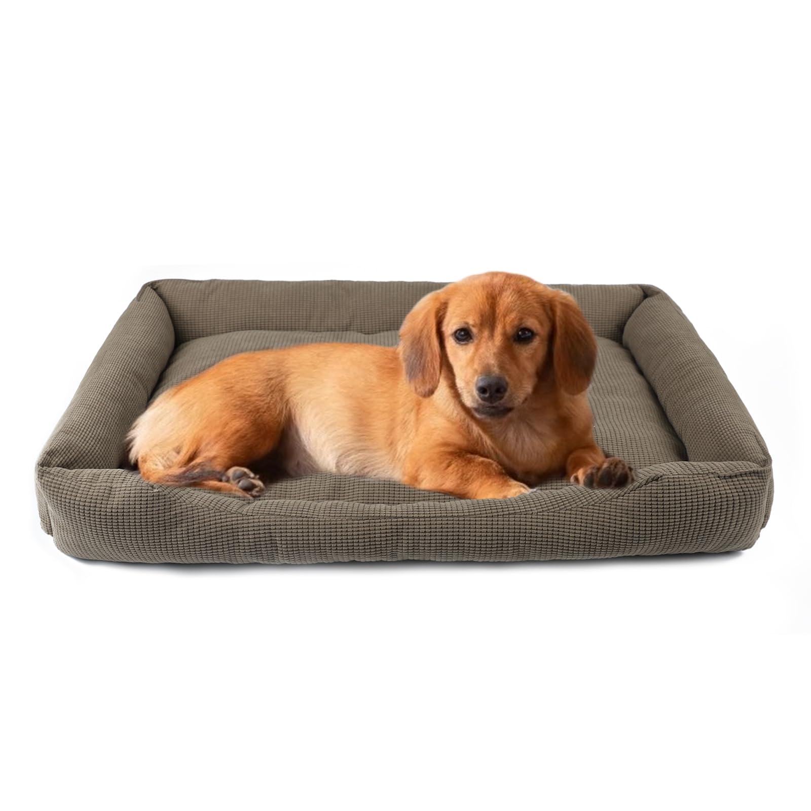 

Alien Pet Dog Cat Bed Pet Bed Mat Small Medium Nursing Care Mat Washable Pet Cushion Comfortable to Sleep on Spring Autumn Winter Summer Easy to Clean хакі