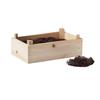 MidOcean Wooden Strawberry Seed Growing Kit