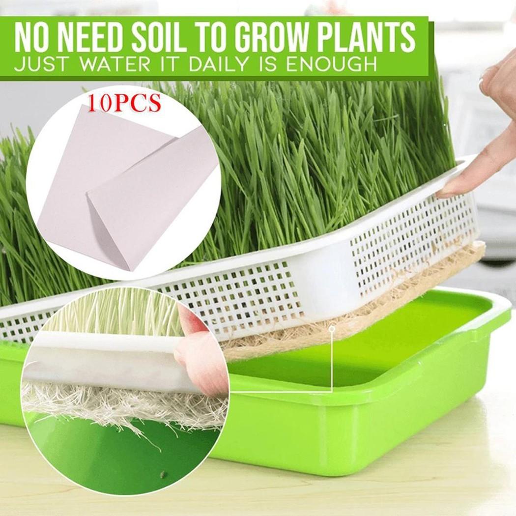 

1 шт. Лоток для микрозелени Лоток для проращивания и 10 шт. Бумаги 1*Tray+10*Paper