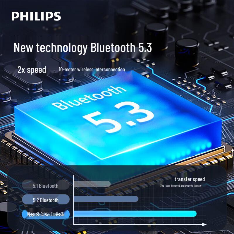 Philips TAS2307 Portable Outdoor Speaker (CN Version)