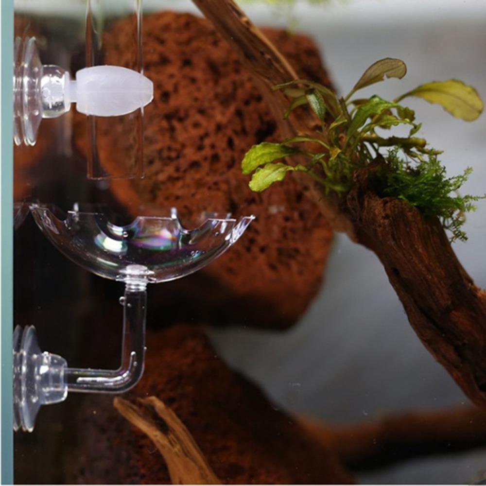 Suction Dish Suction Accessory Acrylic Feeding Tube New Clear Glass Feeding Tube