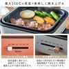 Iris Ohyama IGU-P3-H Light Gray Grill Pan (3 plates)