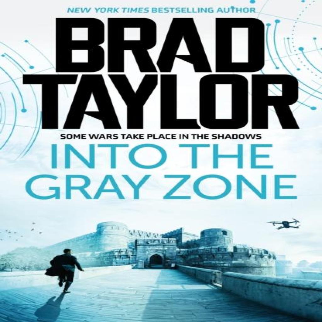 Into the Gray Zone by Brad Taylor Paperback Book 9781837933358