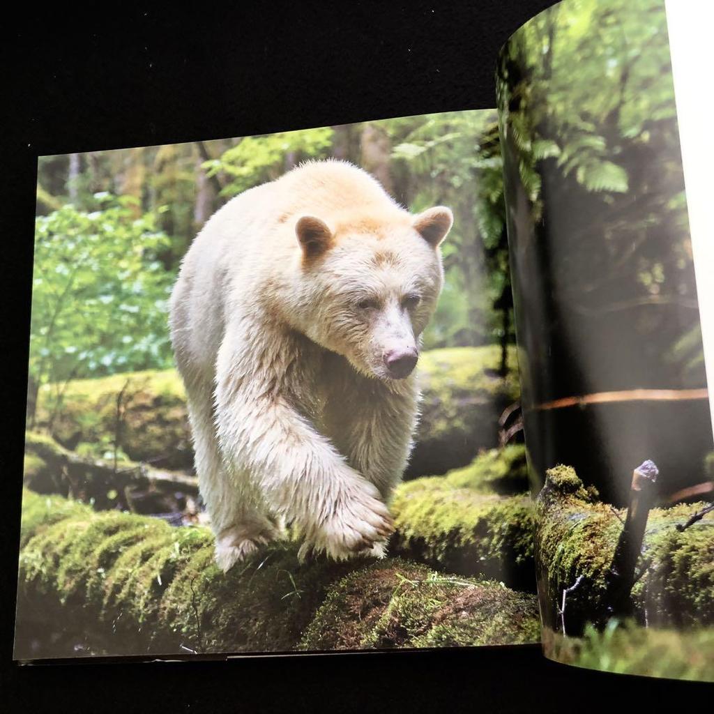 [USED] Paul Nicklen Photo Collection "Bear: Spirit of the Wild