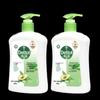 Dettol Plant Care Moisturizing Hand Wash Twin Pack