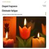 Tulip Scented Candle Ornament - Holiday & Special Occasions Gift for Mother's Day & Teacher's Day.