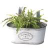 Hanging Flowers Succulents Plant Pots Iron Wall Mounted Indoor Outdoor Garden Decorations Metal Bucket Flowers Basket