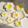 New Sweet Egg Blossom Hair Clip for Women's Outgoing Versatile Photography Side Duck Mouth Clip Beach Tourism Hair Accessories