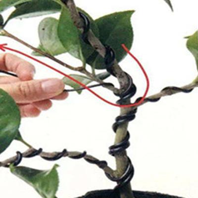 1 rolo de 5 m de fio longo de bonsai prático e conveniente para armazenamento, caixa preta de alumínio anodizado para varanda