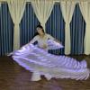 Belly Dance LED Fan Veil Hand Made Belly Dance Silk Fan Silk Belly Dance Costume for Halloween, Christmas Performances