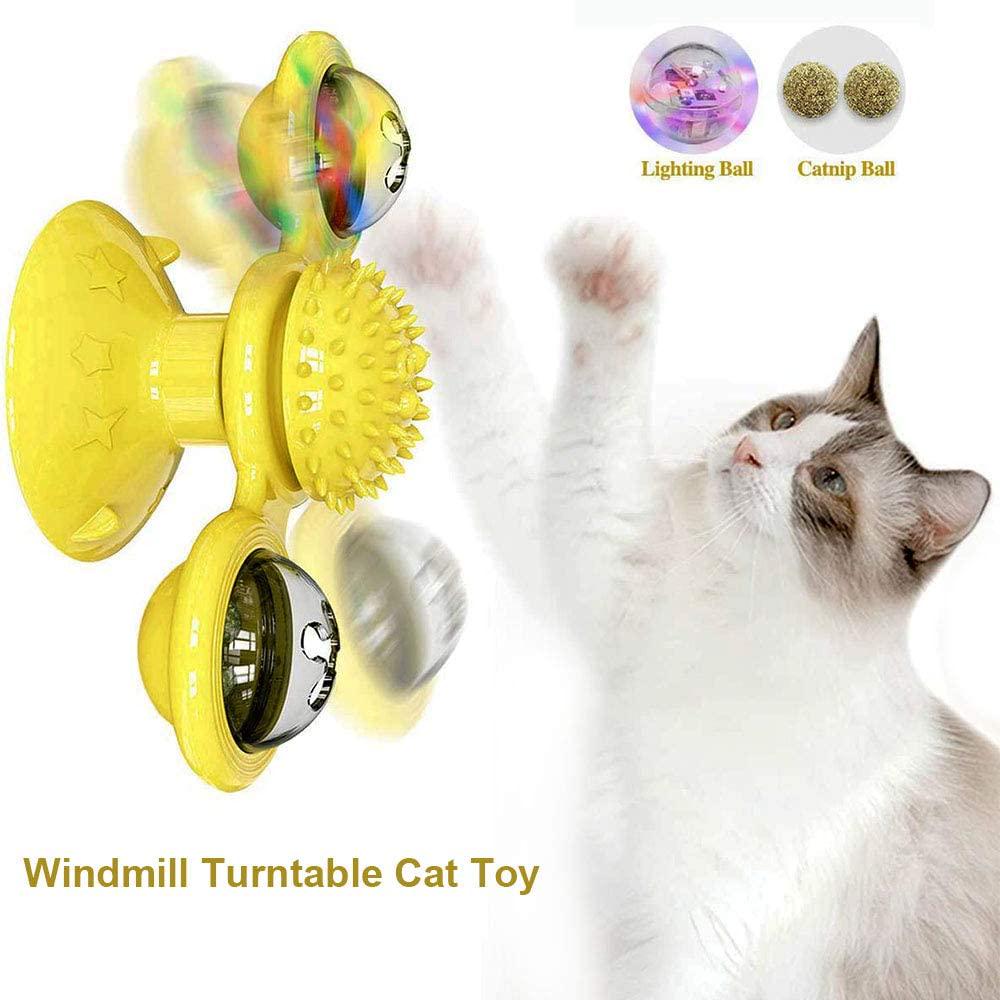 chatter cat toy