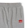 Vans Letter Print Cuffed Breathable Sweat-Wicking Knit Sports Pants Kids Pants Gray VN000JZCHTG