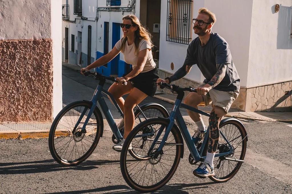 Electric Bicycle DERUIZ Turmali-Premium s 28"250W Motor City EBike ,58cm Frame, 360Wh Battery,Max  Range 110km Load 130kg