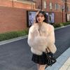 Winter new imitation fox fur coat women's fur coat thickened lapel small man