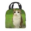 Meowl Cat Owl Meme Thermal Insulated Lunch Bags for School Portable Food Bag Cooler Thermal Lunch Box