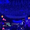 Decorative LED Waterfall Curtain String Lights