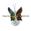 3D Crystal Butterfly Ornament for Home Decor