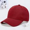 High quality pineapple cloth baseball cap autumn and winter visor cap cap embroidery men