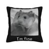 Hamster Faded Funny s Style Square Pillow Cases  Cushion Cover Fashion Zippered Decorative Pillowcase for Home cm