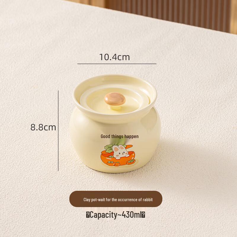 Ruhan Ceramic Single-Serving Double Boiler Stew Pot, 430ml