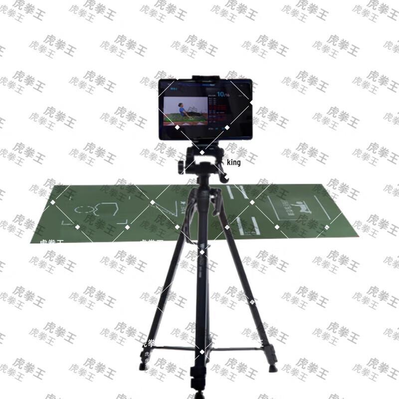 Tiger Boxing King AI Sit-up & Crunch Trainer