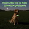 Dog Collar Bell, Loud Cat Bells for Collar, Glowing Pet Tracking Bell with Durable Copper Design, Night Light Reflective for Wildlife Protection