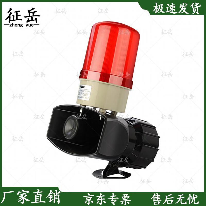 Zhengyue Wireless Remote Sound & Light Anti-Theft Alarm