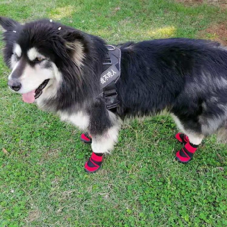 Waterproof Dog Socks Pet Winter Shoes Waterproof Dog Boots Pet Snow Boots