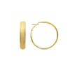 Luxenter and 18k Gold Plated Earrings - Hewry