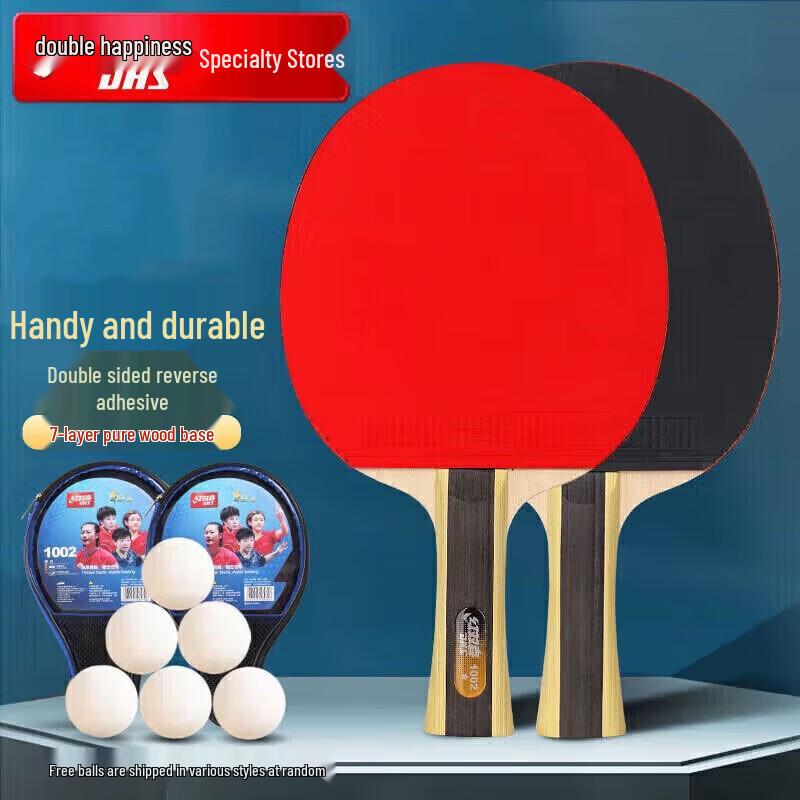 DHS 1-Star Table Tennis Racket