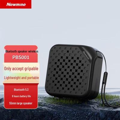 Newmine Portable Bluetooth Speaker PBS001 CN Plug (adapter Included)