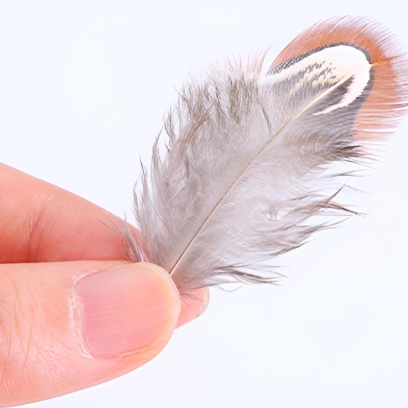 4-7cm Ringneck Pheasant Feathers For Hats Mix Lot Crafts Small Plumas Bulk Colored Decoration Chicken Flower Dreamcatcher 50pcs