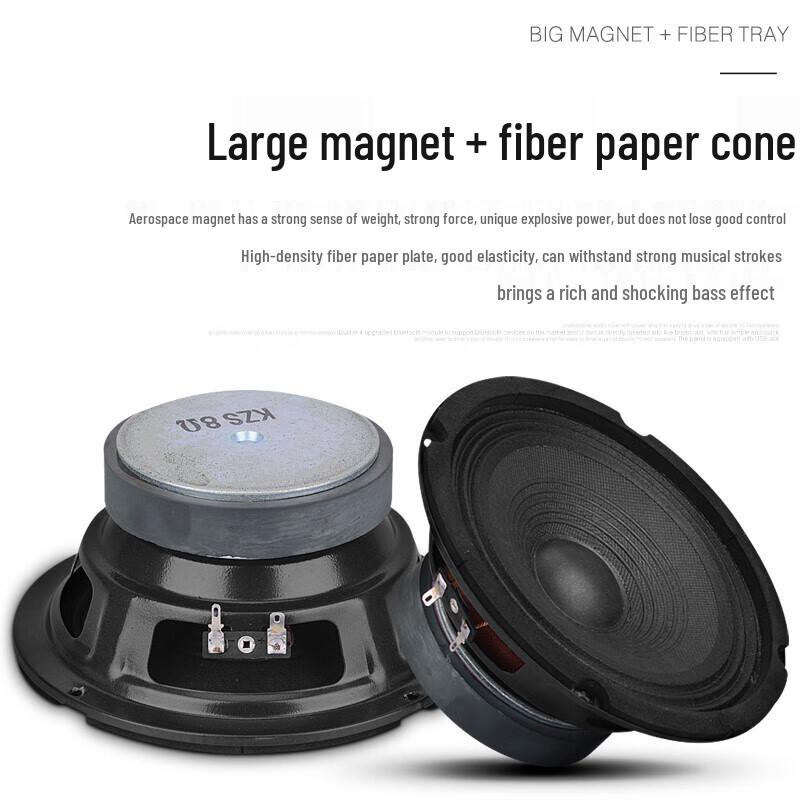 KAXISAIER Professional 100W Passive Full-Range Speakers