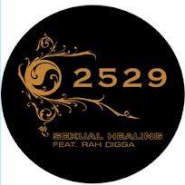 12inch Record 2529, RAH DIGGA - Sexual Healing 2529001 Not On Label 2007 Rap Hip-Hop/RB Used