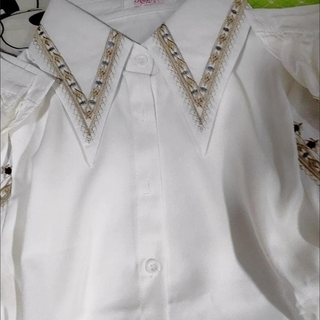 Chiffon Blouse Women Long Sleeve Embroidered Elegant French Top Light  Style Tops