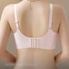 Sexy Lace Bra Women's Gathering Bra Seamless Bra Underwire Bra Collection Bra Accessory Bra Push Up Bra