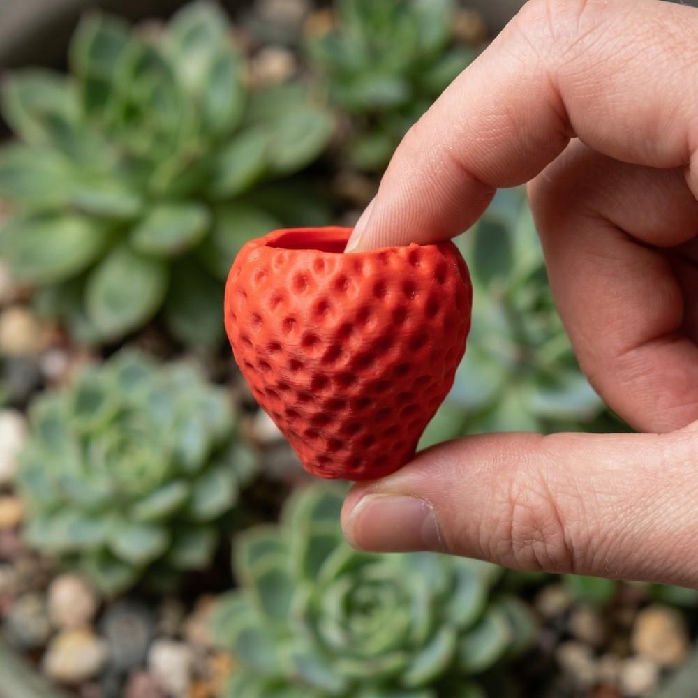 Sweet Strawberry Storage Box Ornaments Mini Plant Pot Cute Fruit Shaped Desktop Planter  Office