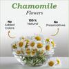 VY VedaYug Chamomile Flower Tea - 100gm | Pure Whole Flower Buds of Chamomile | Herbal Sleep Tea - Caffeine Free - Stress Relief - 100g