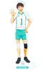 Oikawa Toru Acrylic Stand, 21cm Tall, Aoba Johsai, Official Haikyuu Merchandise