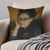 CCosima Niehaus Cushion Cover Pillowcase Antidustmite Invisible Zipper Short Plush Sofa Cushion