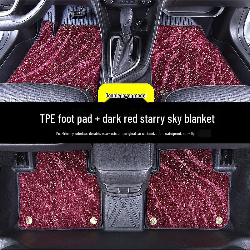 Toyota RAV4 Rongfang Dual Engine New Energy 09-19 Waterproof TPE Car Floor Mats