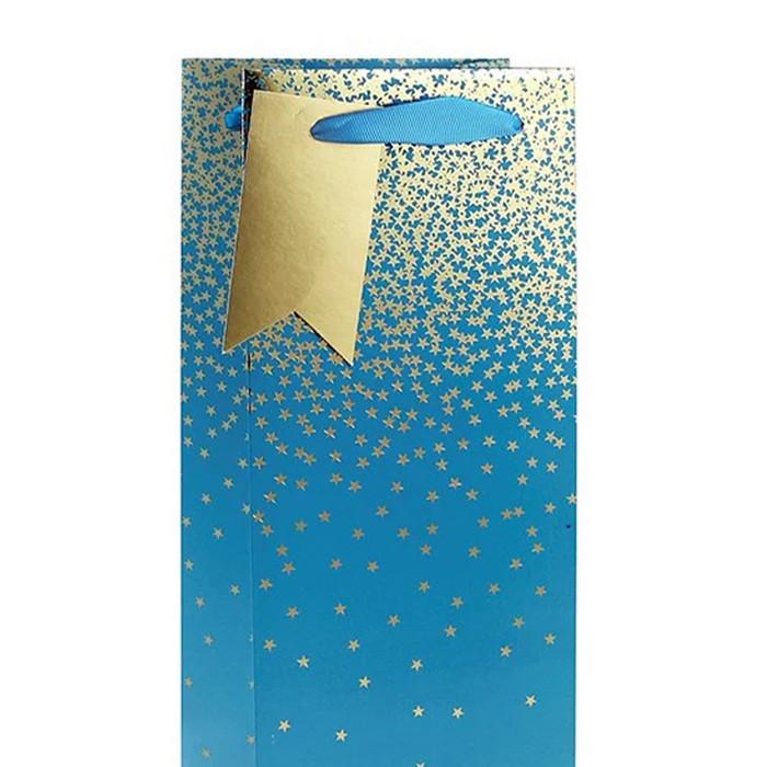 Eurowrap Ombre Bottle Bag (Pack of 6)