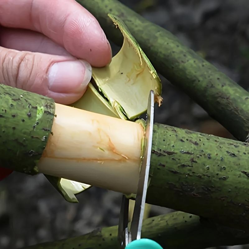 Stainless Steel Grafting Tool, Professional Gardening Pruning Scissors, with Bark Cutter, Fruit Tree Sapling Grafting Ring Knife