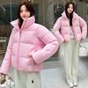 Short Stand-Up Collar Down Cotton Clothes Women'S Simple Loose Clothes Jacket Solid Color
